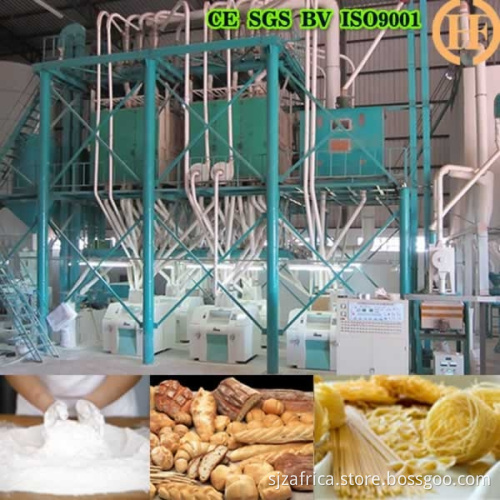turnkey European standard 100T/24H wheat milling machines wheat mill